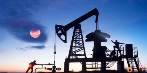 歐佩克維持產量不變疊加美聯儲風險預警，國際石油市場面臨復雜考驗